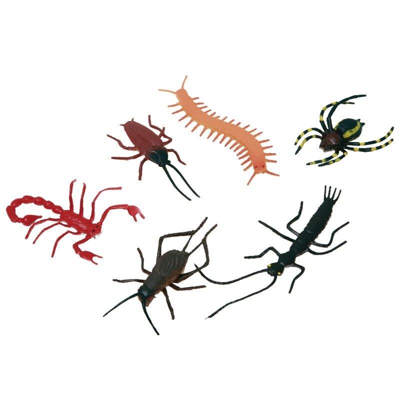 Pack de Insectos Surtidos