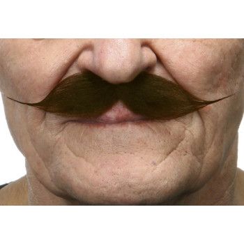 Bigote