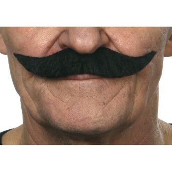 BigotBigote de Inglés negro.