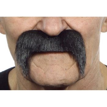 Bigote de Mexicano negro.