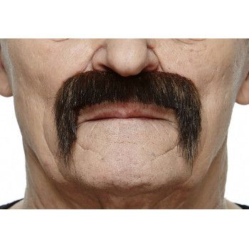 Bigote de Mexicano negro canoso.