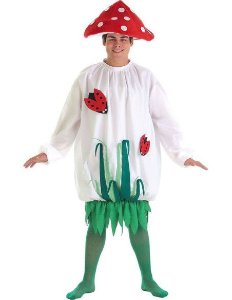 Disfraz de Seta Hombre - Disfraces de Hadas, Duendes y Elfos Originales para Carnaval - MisterDisfraz.com